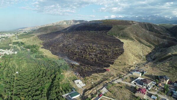 Пожар сухотравья на юге Бишкека - Sputnik Кыргызстан