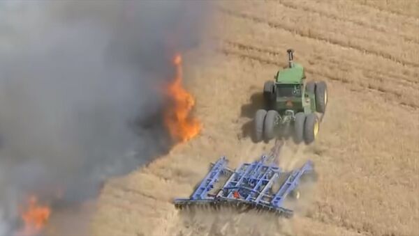 Отважный фермер на тракторе борется с огнем, спасая урожай. Видео из США - Sputnik Кыргызстан
