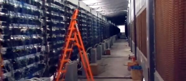Опубликовано видео обыска майнинг-фермы в Бишкеке с техникой на $21,5 млн - Sputnik Кыргызстан