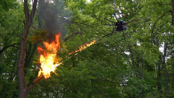 Может извергать огонь на 7 метров в течение 100 секунд — видео дрона-огнемета - Sputnik Кыргызстан