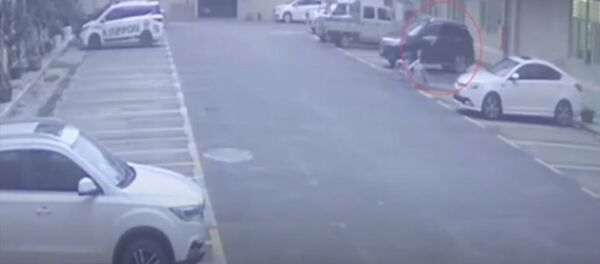 Автоунаанын педалын чаташтырган кыз кишилер отурган кеңсеге кирип кетти. Видео - Sputnik Кыргызстан