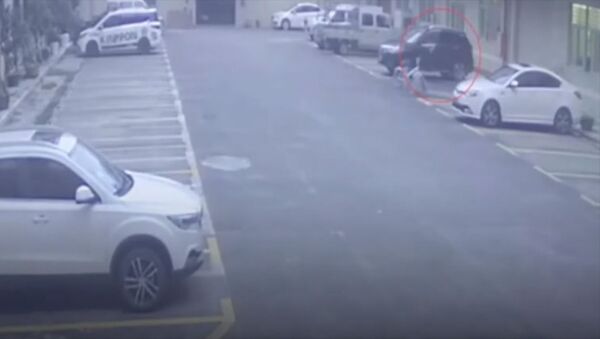 Автоунаанын педалын чаташтырган кыз кишилер отурган кеңсеге кирип кетти. Видео - Sputnik Кыргызстан