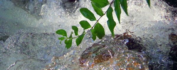 Тоо суусу. Архив - Sputnik Кыргызстан