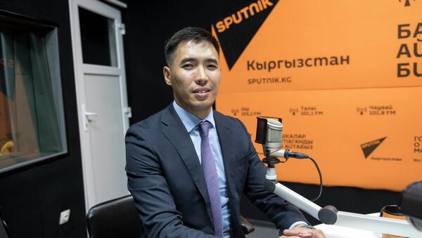 Начальник Управления инвестиционной политики Министерства экономики КР Ханчоро Мурзалиев - Sputnik Кыргызстан