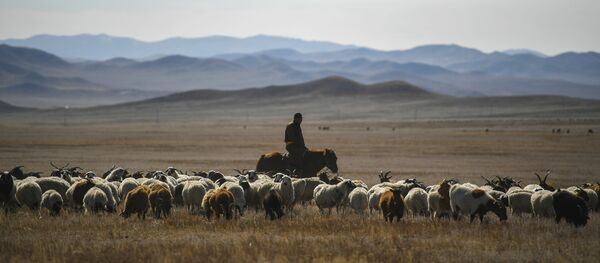 Страны мира. Монголия - Sputnik Кыргызстан