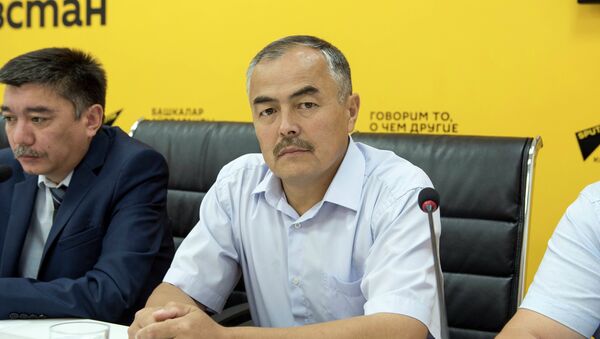Представитель Минсельхоза, пищевой промышленности и мелиорации Нурлан Абдыгулов - Sputnik Кыргызстан