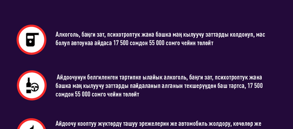 Кандай жол эрежелери бузулганда айдоочуга катаал жаза колдонулат?  - Sputnik Кыргызстан