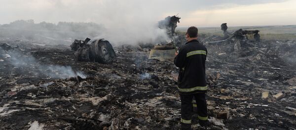 На месте крушения малайзийского самолета Boeing 777 в районе города Шахтерск Донецкой области. - Sputnik Кыргызстан