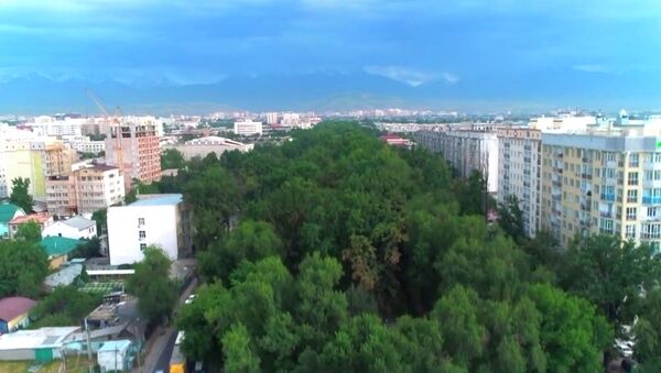 Как мэрия видит Бишкек — опубликован ролик, смонтированный муниципалитетом - Sputnik Кыргызстан