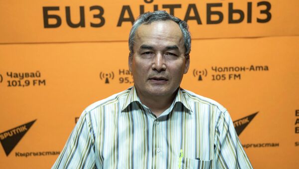 Руководитель Тянь-Шаньского высокогорного научного центра НАН КР Рыспек Сатылканов - Sputnik Кыргызстан