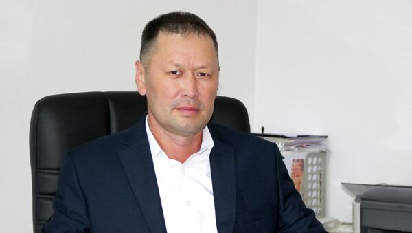 Генеральный директор ОАО Национальная электрическая сеть Кыргызстана Эмиль Куданалиев - Sputnik Кыргызстан