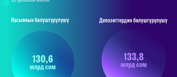 Кыргызстандагы банк сектору - Sputnik Кыргызстан