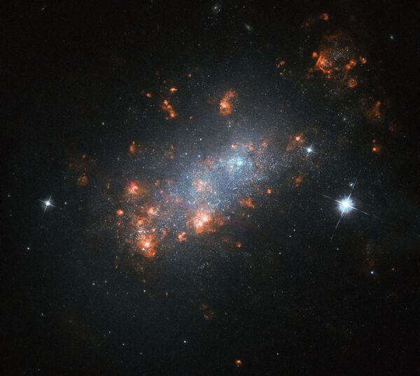 Галактика NGC 1156 в созвездии Овен - Sputnik Кыргызстан