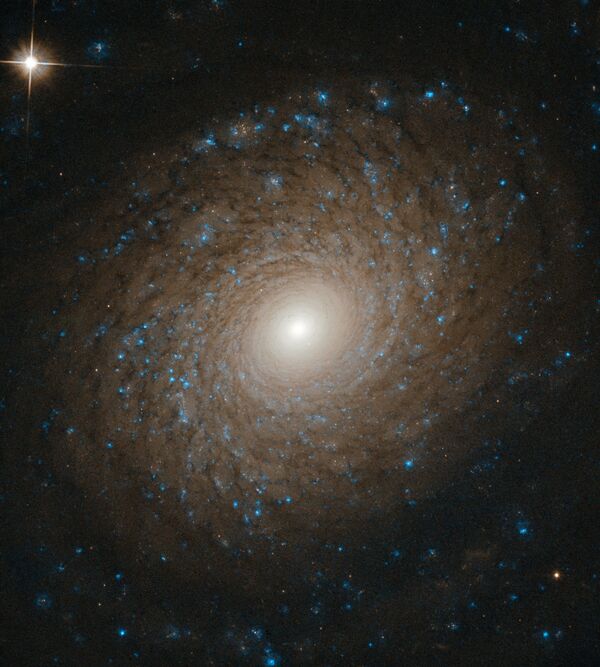 Спиральная галактика NGC 2985 в созвездии Большая Медведица - Sputnik Кыргызстан