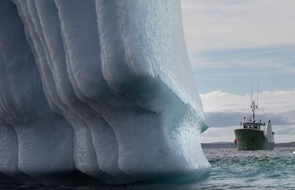 Судно рядом с айсбергом в заливе Бонависта в Ньюфаундленде, Канада - Sputnik Кыргызстан