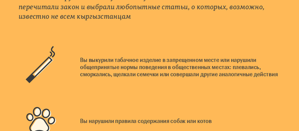 Штрафы за нарушения, о которых кыргызстанцы могут не знать  - Sputnik Кыргызстан