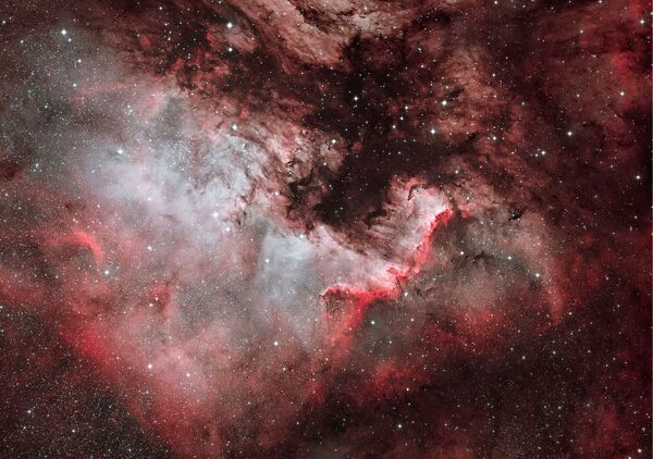Снимок NGC7000 North American Nebula фотографа Dave Watson, попавший в шортилст конкурса научной фотографии Royal Photographic Society 2019 - Sputnik Кыргызстан