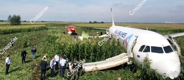 Сотрудники Следственного комитета РФ у самолета А-321 авиакомпании Уральские авиалинии, который совершил аварийную посадку в Подмосковье Сотрудники Следственного комитета РФ у самолета А-321 авиакомпании Уральские авиалинии, который совершил аварийную посадку в Подмосковье - Sputnik Кыргызстан