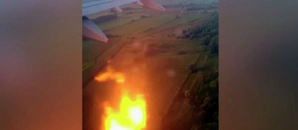 Аварийная посадка А321 в России — видео столкновения лайнера с птицами - Sputnik Кыргызстан