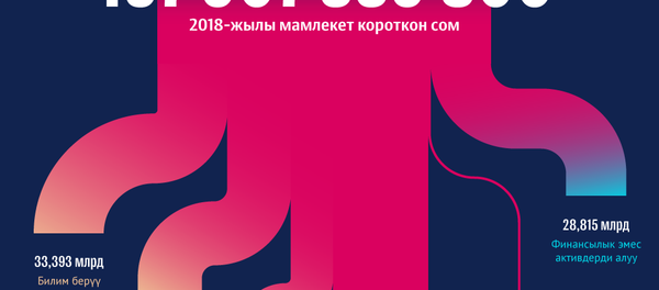 Кыргызстанда мамлекеттик бюджеттин сарпталышы - Sputnik Кыргызстан