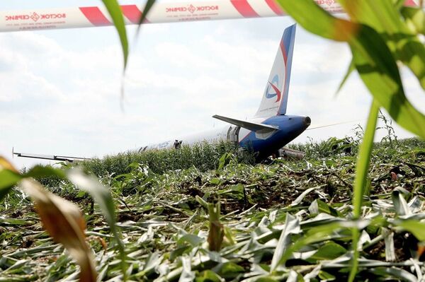 Последствия вынужденной посадки в Подмосковье лайнера Airbus А-321 авиакомпании Уральские авиалинии в результате попадания птиц в двигатели самолета - Sputnik Кыргызстан