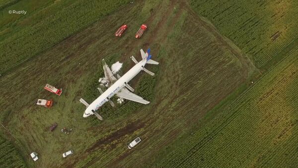 Самолет А-321 авиакомпании Уральские авиалинии с пассажирами на борту совершил аварийную посадку в Подмосковье - Sputnik Кыргызстан