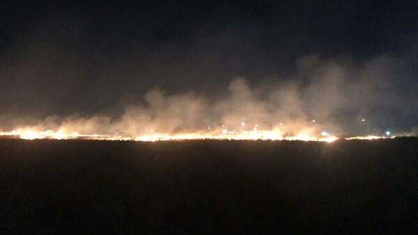 Куураган чөптүн өрттөнүшү. Архив - Sputnik Кыргызстан