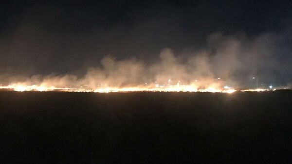 Пожар на поле в восточной части Бишкека  - Sputnik Кыргызстан