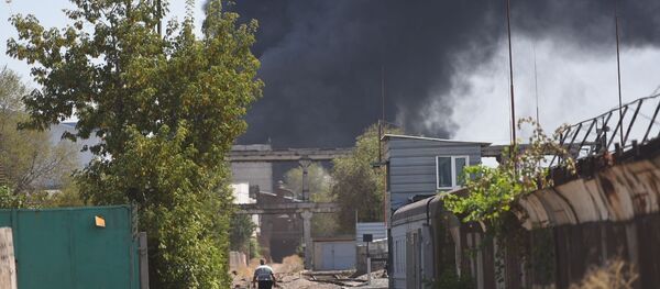 Крупный пожар в западной части Бишкека - Sputnik Кыргызстан