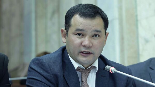 Назначенный председателем правления ОАО Национальная управляющая компания Ренат Тулебердиев - Sputnik Кыргызстан