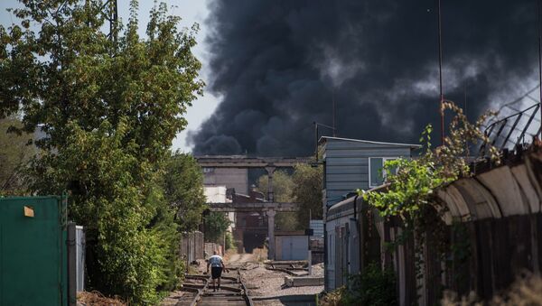 Крупный пожар в западной части Бишкека - Sputnik Кыргызстан