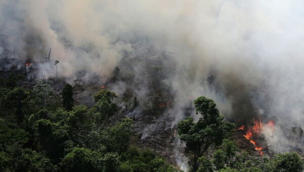 Пожар в джунглях Амазонки. Архивное фото - Sputnik Кыргызстан