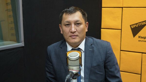 Мамлекеттик салык кызматынын төрагасынын орун басары Улукбек Самыйбеков - Sputnik Кыргызстан