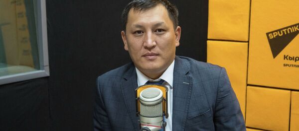 Мамлекеттик салык кызматынын төрагасынын орун басары Улукбек Самыйбеков - Sputnik Кыргызстан