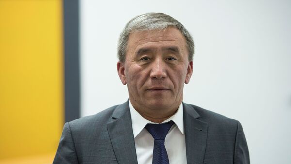 Министр сельского хозяйства, пищевой промышленности и мелиорации Эркинбек Чодуев - Sputnik Кыргызстан