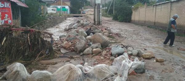 Ысык-Көл облусунун Бостери айылында нөшөрлөгөн жаандан улам сел жүрдү - Sputnik Кыргызстан