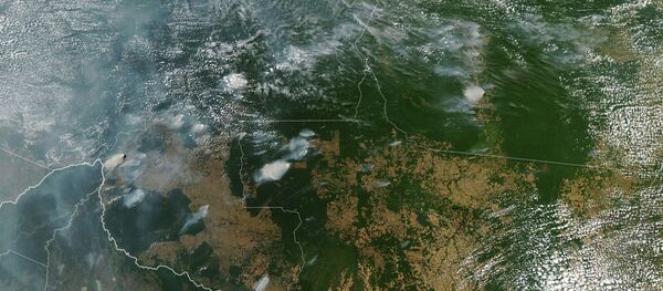 Пожары в лесах Амазонии - Sputnik Кыргызстан