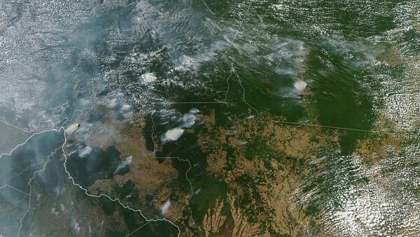 Пожары в лесах Амазонии - Sputnik Кыргызстан