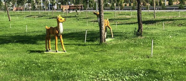 Строительство парка на пересечении Южной магистрали и проспекта Чингиза Айтматова - Sputnik Кыргызстан