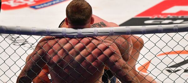 Мушкерлер. Архивдик сүрөт Мушкерлер. Архивдик сүрөт - Sputnik Кыргызстан