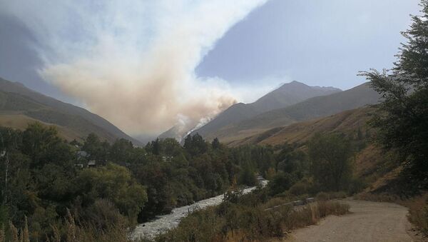 Возгорание сухотравья недалеко от села Кашка-Суу Аламудунского района - Sputnik Кыргызстан