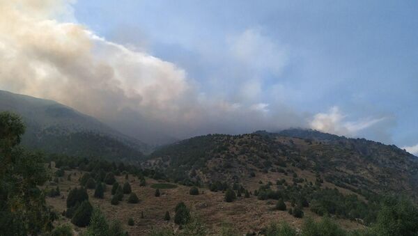 Возгорание сухотравья недалеко от села Кашка-Суу Аламудунского района - Sputnik Кыргызстан