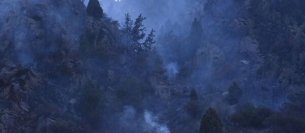 Ала-Арча капчыгайындагы өрт  - Sputnik Кыргызстан