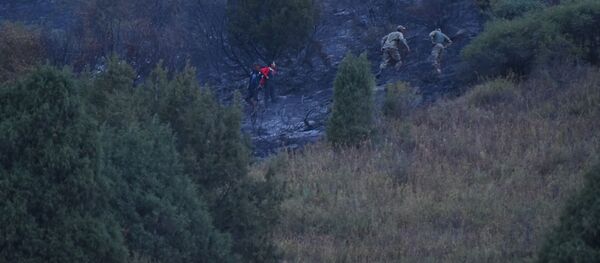 Пожар в национальном парке Ала-Арча - Sputnik Кыргызстан