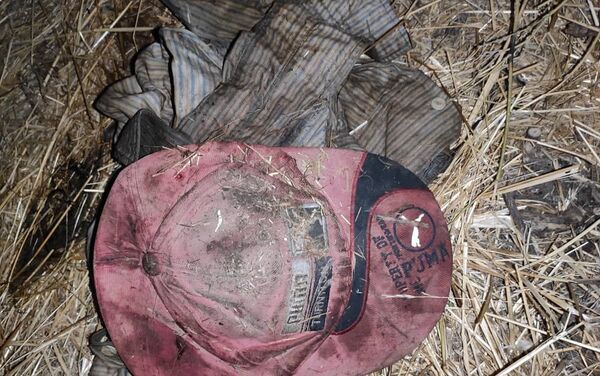 Тело в гнилостном состоянии было обнаружено 17 августа в 21:00 на поле. - Sputnik Кыргызстан