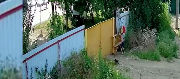 Подростки из России совершили кражу года, похитив садовую тачку. Видео - Sputnik Кыргызстан