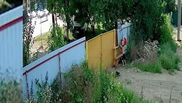 Подростки из России совершили кражу года, похитив садовую тачку. Видео - Sputnik Кыргызстан