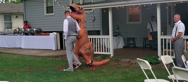 Сиңдисинин тоюна динозавр болуп келген кыз конокторду таң калтырды. Видео - Sputnik Кыргызстан