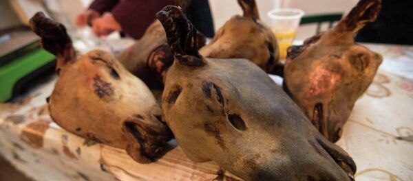 Куйкаланган койдун башы. Архив Куйкаланган койдун башы. Архив - Sputnik Кыргызстан