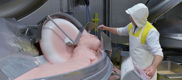 Мясоперерабатывающий комбинат в Челябинской области Мясоперерабатывающий комбинат в Челябинской области - Sputnik Кыргызстан